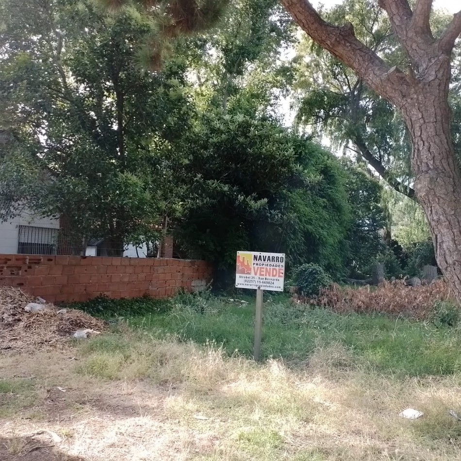 Venta Lote 10 X 40 En San Bernardo