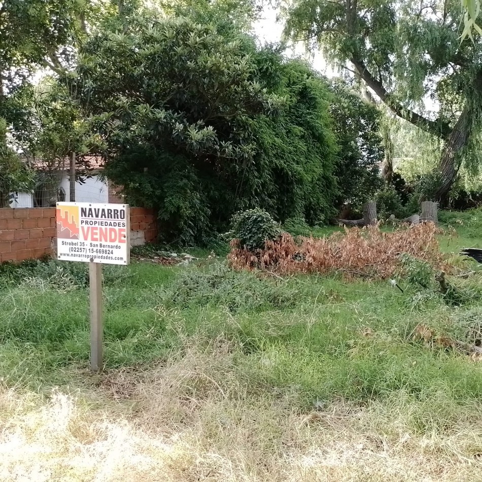 Venta Lote 10 X 40 En San Bernardo