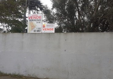 Venta Lote En Mar De Ajo Pleno Centro